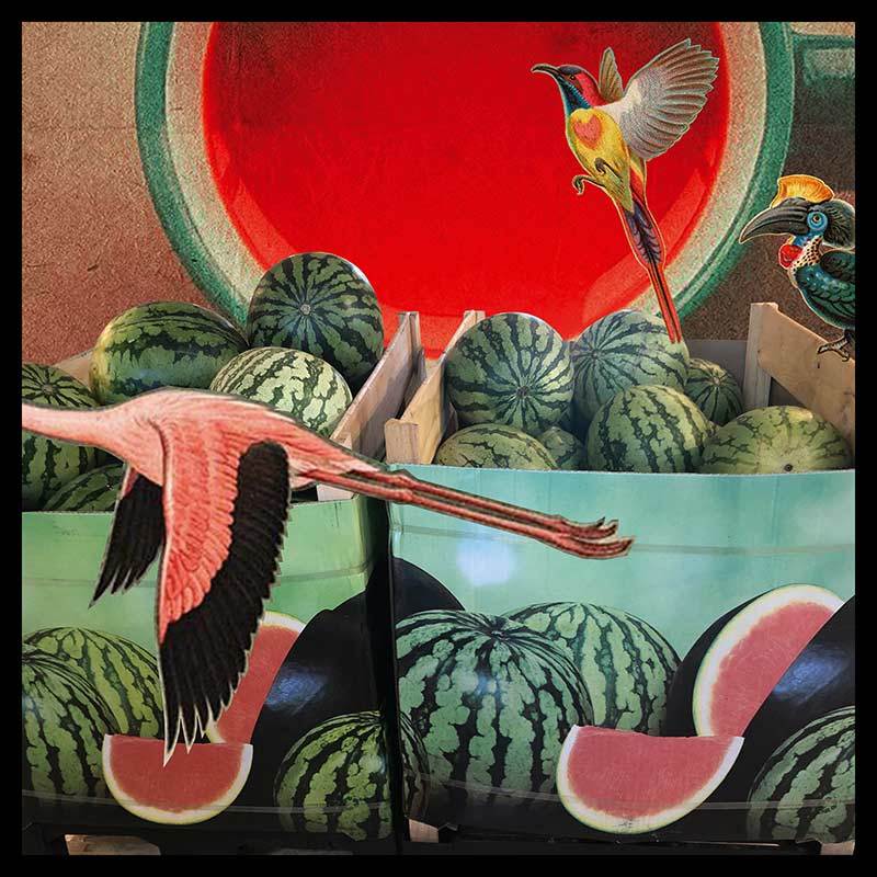 Ping-Pong Collage 21